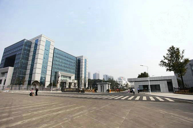 Hubei Huangshi Jinpai Plant