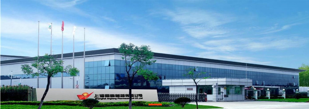 Shanghai Jingfeng Pharmaceutical Co., LTD.